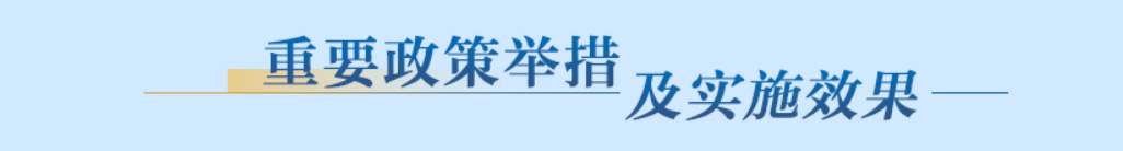 重要政策舉措及實施效果